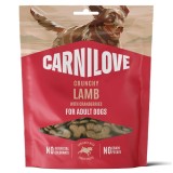 CARNILOVE Crunchy Agnello con mirtilli rossi - snack per cani - 200g