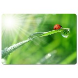 Esperanza EA133 Tappetino mouse Multicolore