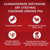 PURINA One Adult Medium/Maxi ricco di manzo con riso - cibo secco per cani - 12kg