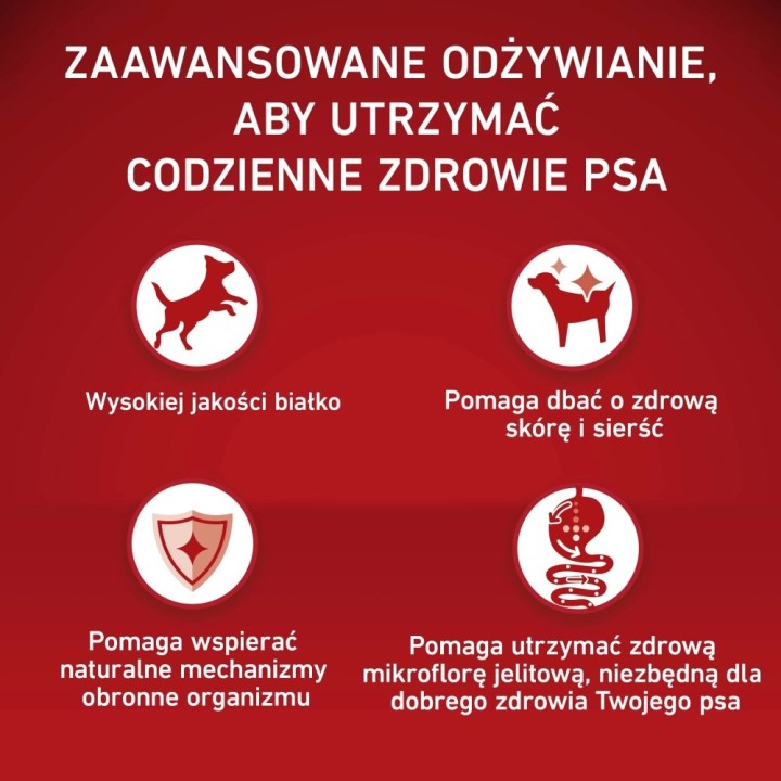 PURINA One Adult Medium/Maxi ricco di manzo con riso - cibo secco per cani - 12kg