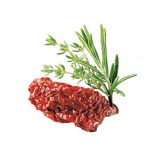 SHELMA Ricco di pollo in salsa - cibo umido gatti - 85g