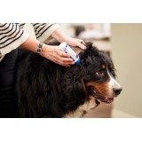 VIRBAC EpiOtic Ear Cleanser - liquido detergente per le orecchie per cani e gatti - 60 ml