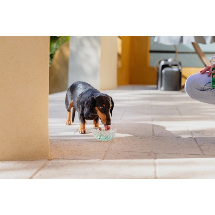 VIRBAC Vet Aquadent FR3SH - soluzione per l'igiene orale per cani e gatti – 500ml