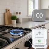 Qoltec 52576 sensore di monossido di carbonio | rilevatore CO | allarme 85dB | LED