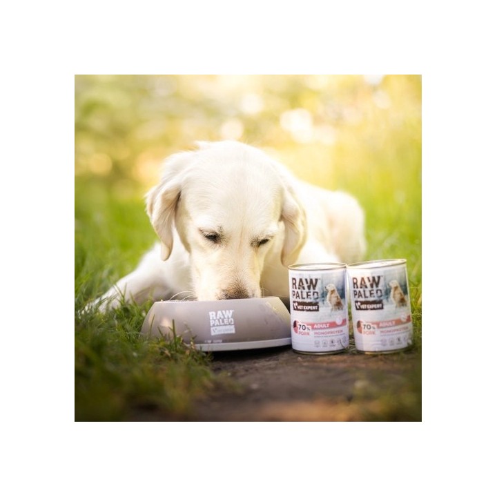 VETEXPERT Raw Paleo Adult Monoprotein maiale - cibo umido per cani - 400 g