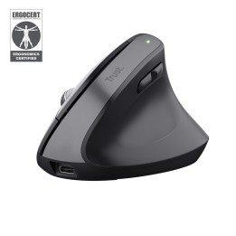 Trust Bayo+ mouse ufficio destrorso RF wireless + Bluetooth ottico 2400 DPI