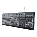 Trust Primo Beleuchtete tastiera Casa/Ufficio USB QWERTY US Inglese Nero