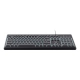 Trust Primo Beleuchtete tastiera Casa/Ufficio USB QWERTY US Inglese Nero