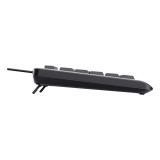 Trust Primo Beleuchtete tastiera Casa/Ufficio USB QWERTY US Inglese Nero