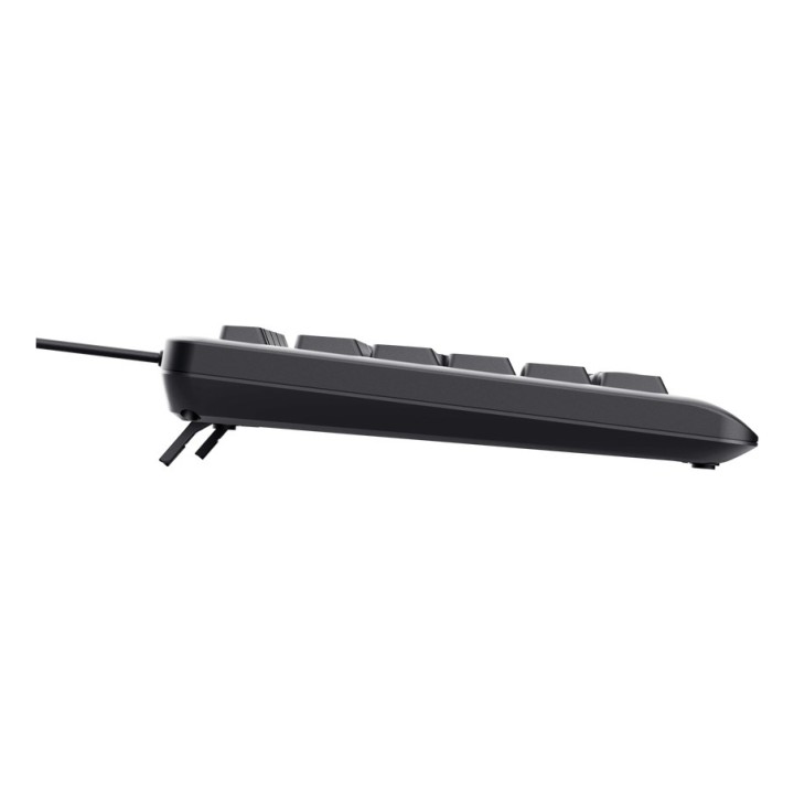 Trust Primo Beleuchtete tastiera Casa/Ufficio USB QWERTY US Inglese Nero