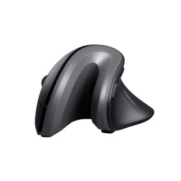 Trust Verro mouse ufficio per destrorsi RF wireless ottico 1600 DPI