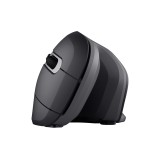 Trust Verro mouse ufficio per destrorsi RF wireless ottico 1600 DPI