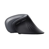 Trust Verro mouse ufficio per destrorsi RF wireless ottico 1600 DPI