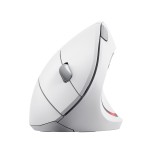 Trust mouse wireless ergonomico verticale Verto bianco (25132)