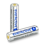 Batteria everActive 18650 3.7V Li-ion 2600mAh micro USB con protezione BOX