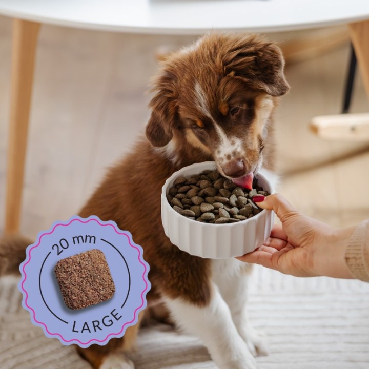 ADDVENA Boosted by superfoods Junior Medium/Large Manzo - cibo secco per cani - 10kg
