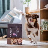 ADDVENA Boosted by superfoods Junior Medium/Large Manzo - cibo secco per cani - 10kg