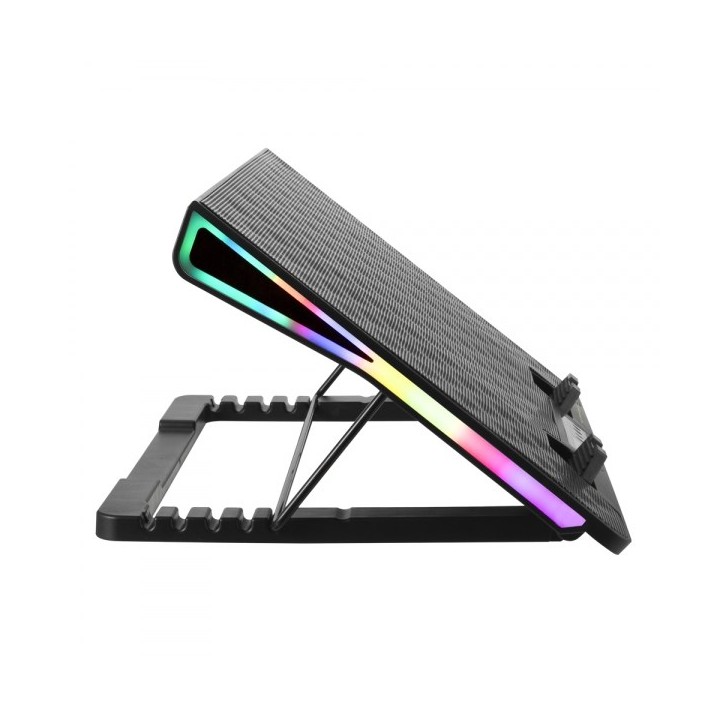 Esperanza EGC101 ventola di raffreddamento per notebook 800 RPM nero