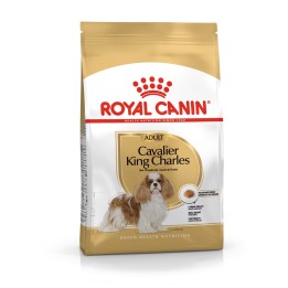 Cibo per cani Royal Canin SHN Breed Cavalier K C 1.5 kg