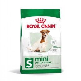 ROYAL CANIN Mini Adulto +8 - cibo secco per cani - 2 kg