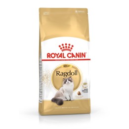 Royal Canin FBN Ragdoll Adulto cibo secco per gatti 2 kg