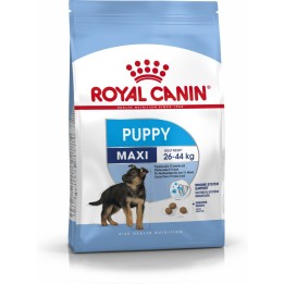 Royal Canin SHN Maxi Cucciolo - cibo secco per cuccioli - 4kg
