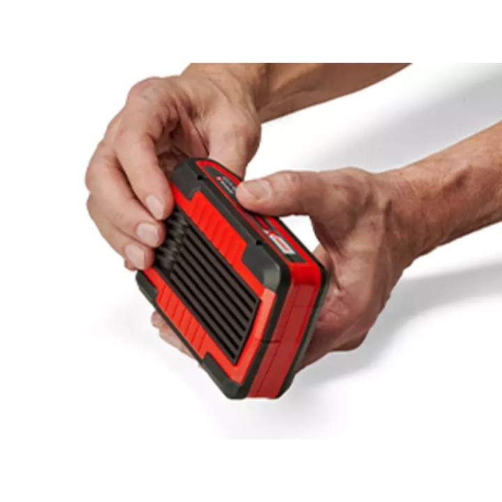 Einhell 4511631 batteria/caricabatteria per utensili cordless