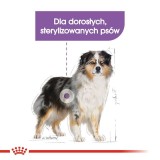 ROYAL CANIN CCN Medium Sterilised Adult - cibo secco per cani - 12 kg