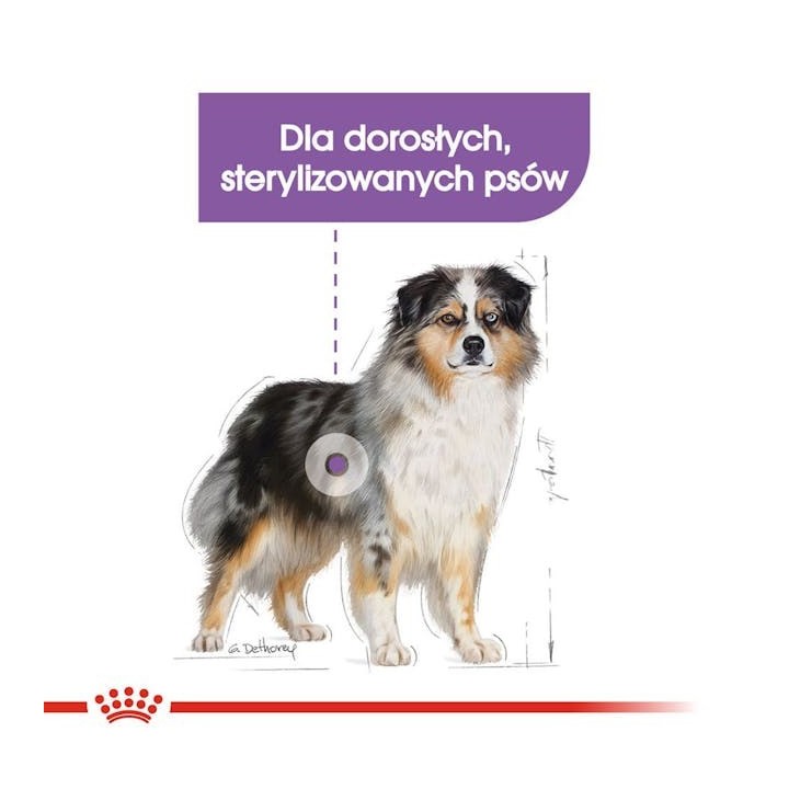 ROYAL CANIN CCN Medium Sterilised Adult - cibo secco per cani - 12 kg