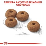 ROYAL CANIN CCN Medium Sterilised Adult - cibo secco per cani - 12 kg