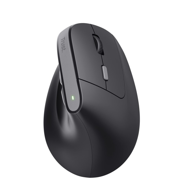 Trust Bayo II mouse medico destrorso RF wireless ottico 2400 DPI