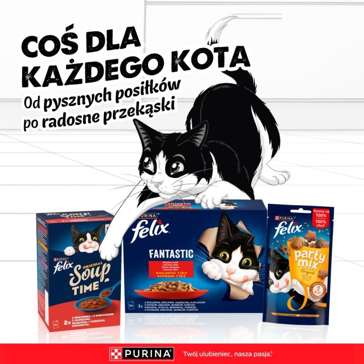 PURINA Felix Fantastic in gelatina scatola - cibo umido per gatti - 44x85g