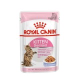 ROYAL CANIN FHN Kitten Sterilised - cibo umido per gatti - 12x85g