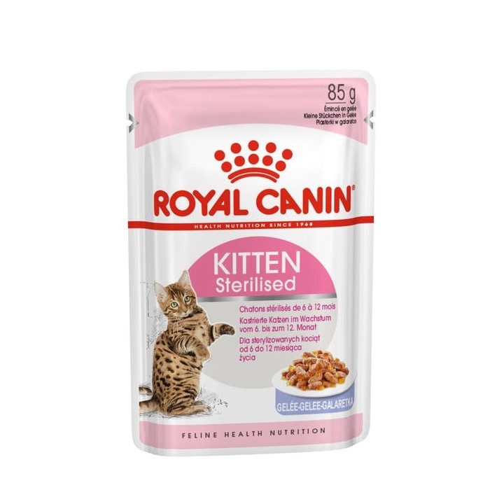 ROYAL CANIN FHN Kitten Sterilised - cibo umido per gatti - 12x85g