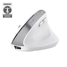 Trust Bayo+ mouse ufficio destrorso RF wireless + Bluetooth ottico 2400 DPI