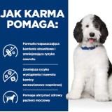 HILL'S PD Canine Urinary Care C/D - cibo umido per cani - 370g