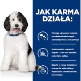 HILL'S PD Canine Urinary Care C/D - cibo umido per cani - 370g