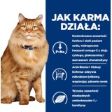HILL'S PD K/D Renale + Mobilità Pollo - cibo secco per gatti - 3kg