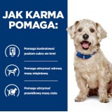 HILL'S Prescription Diet Diabetes Care Pollo - cibo umido per cani - 370g