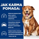HILL'S PD Canine Derm Complete - cibo umido per cani - 370g