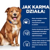 HILL'S PD Canine Derm Complete - cibo umido per cani - 370g