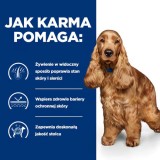 HILL's Prescription Diet Food Sensitivites z/d - cibo secco per cani - 10 kg