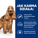 HILL's Prescription Diet Food Sensitivites z/d - cibo secco per cani - 10 kg