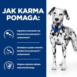 HILL'S PRESCRIPTION DIET Cura Urinaria Canina u/d Cibo secco per cani 10 kg