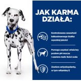 HILL'S Prescription Diet Urinary Care Original - cibo umido per cani - 370g