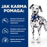 HILL'S Prescription Diet Urinary Care Original - cibo umido per cani - 370g
