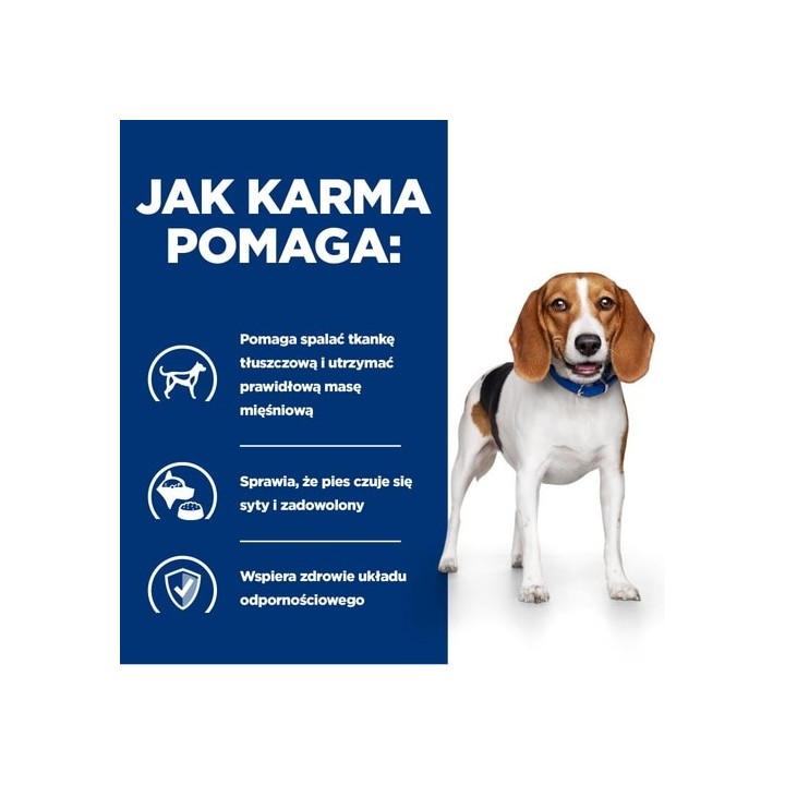 HILL'S Canine r/d 4kg