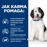 HILL'S PRESCRIPTION DIET Canine c/d Multicare Cibo secco per cani Pollo 12 kg