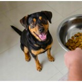 BUTCHER'S Original manzo - cibo secco per cani - 15kg