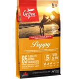 ORIJEN Puppy - cibo secco per cani - 11 4kg